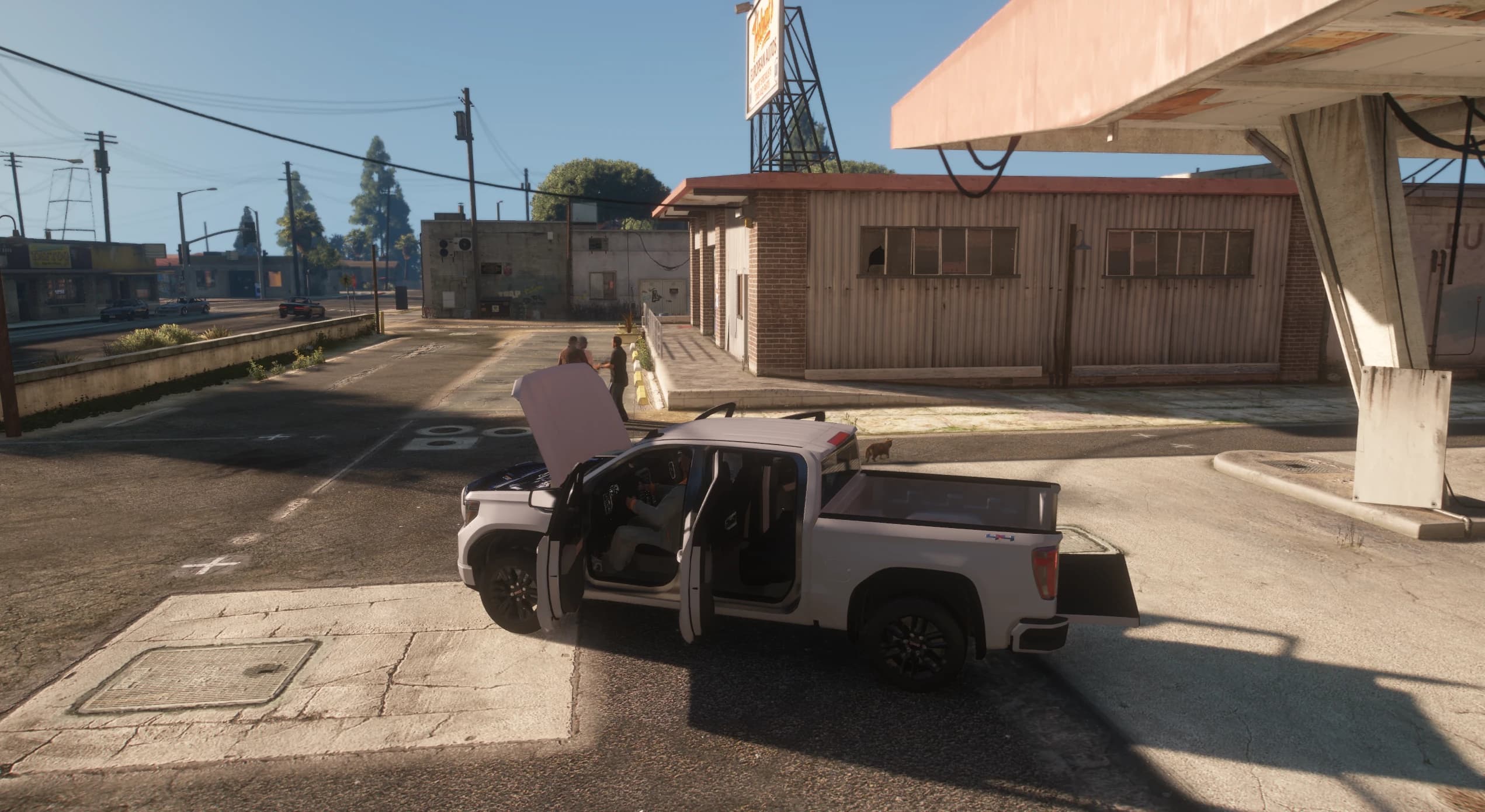 The white Sierra at an abandoned gas station with the hood, all four doors and the tailgate open and a cat walking behind it